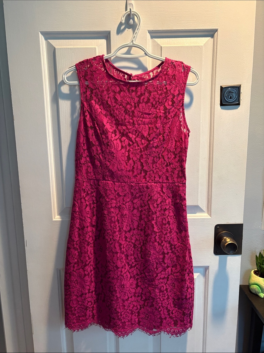 eva mendes for New York & Company Fuchsia Lace Mini Dress